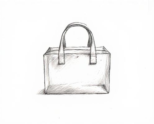 Acrylic Box Bag in Bag: Stylish Storage Solutions for Women's Accessories
