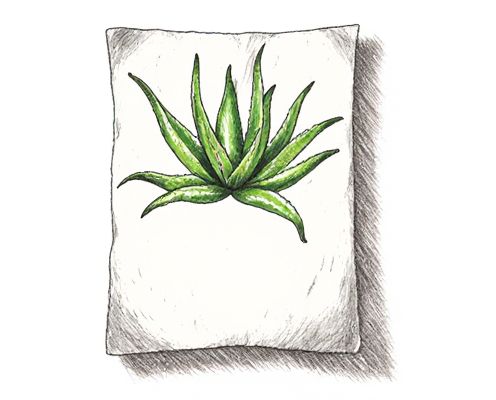 Aloe Sheet in Bath Products: Benefits, Applications, and Skin Care Integration