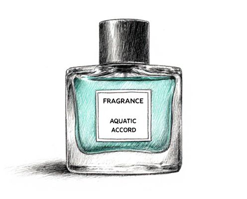 Aquatic Accord in Women's Fragrances: Signature Notes, Blending Techniques, and Lasting Impressions