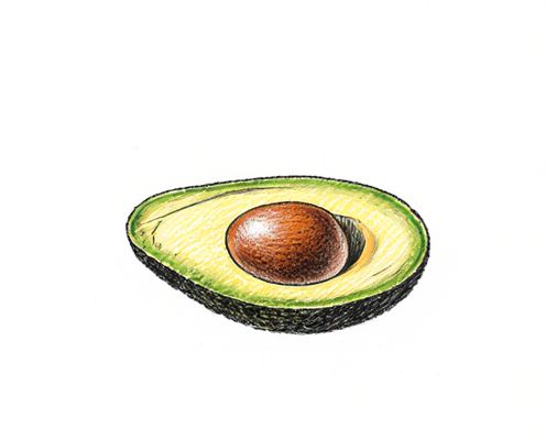 Avocado Saver for Women: Freshness, Convenience, and Kitchen Organization