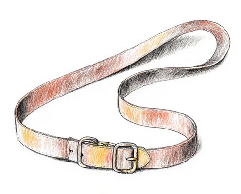 Bag Straps in Women's Accessories: Styles, Materials, and Fashion Pairing