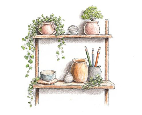 Biophilic Shelves in Homeware: Enhancing Wellbeing, Design Integration, and Product Selection for Women