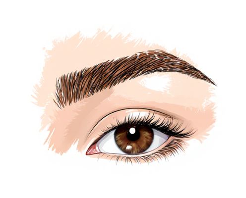 Bleached Brows in Cosmetics: Techniques, Trends, and Product Recommendations
