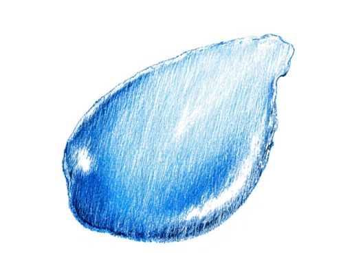 Blue Beauty Movement in Skincare: Sustainable Innovations and Ingredient Trends