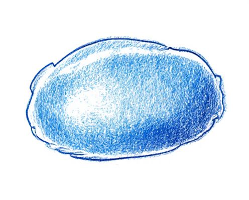 Blue Light Defense in Cosmetics: Efficacy, Key Ingredients, and Skin Benefits