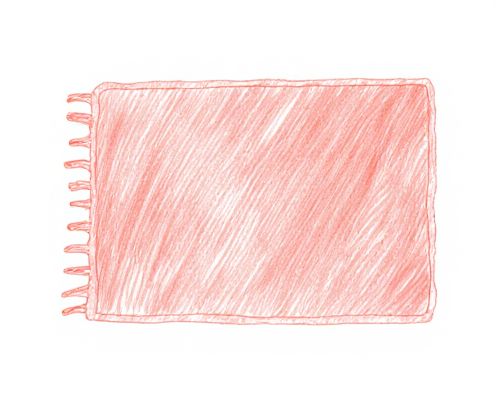 Blush Accent Rug in Furniture: Enhancing Aesthetics, Placement Ideas, and Care Tips