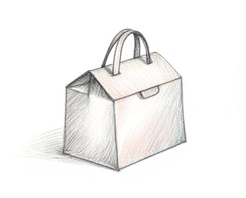 Box Bag in Bag: Versatility, Organization, and Style for Women's Accessories