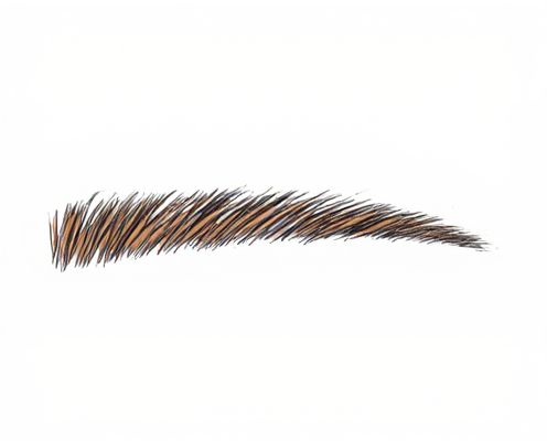 Brow Bar in Sunglasses: Style, Function, and Face Shape Suitability