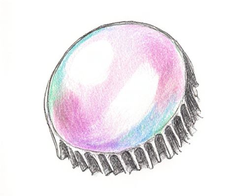 Bubble Hair Tool in Haircare: Benefits, Styling Techniques, and Maintenance