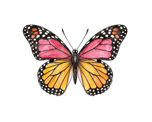 Butterfly Clips in Women's Accessories: Styling Trends, Versatility, and Fashion Statements