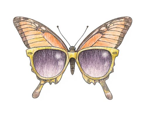 Butterfly Sunglasses for Women: Styles, Fashion Trends, and Face Shapes