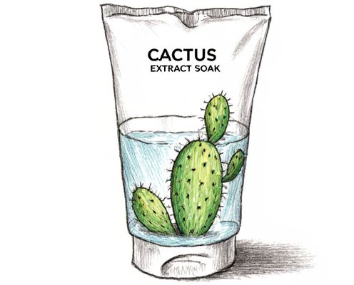 Cactus Extract Bath Soaks: Skin Benefits, Usage, and Relaxation
