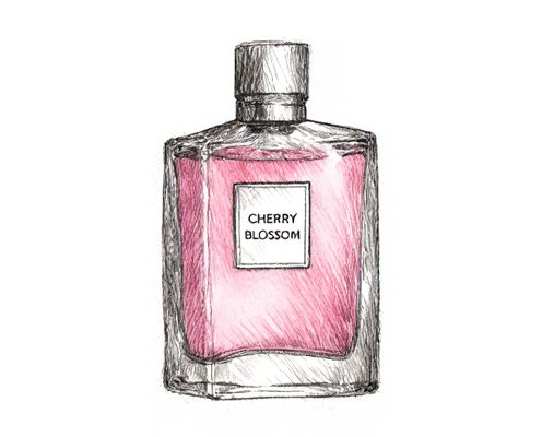 Cherry Blossom Accord in Fragrance: Scent Profile, Popular Products, and Layering Tips