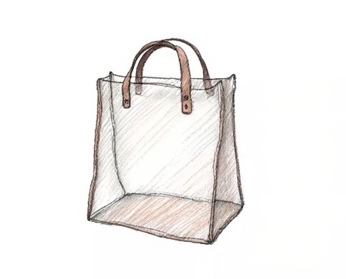 Clear Bag in Bag: Stylish Organization for Women's Essentials