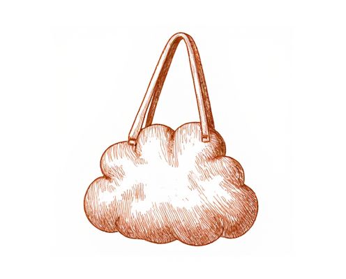 Cloud Bag in Bag: Versatile Organization and Style for Women's Accessories