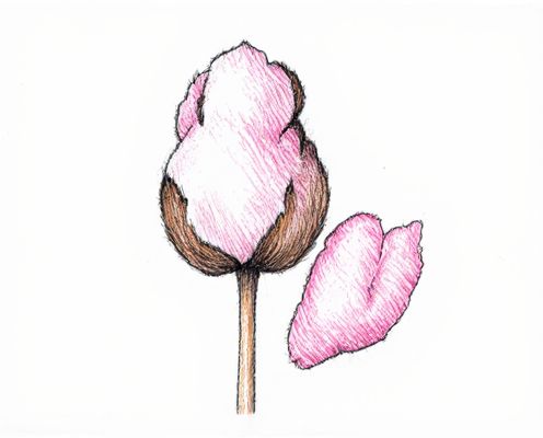 Cotton Candy in Women's Fragrance: Scent Profile, Popular Perfumes, and Lasting Appeal