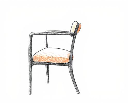 Curved Silhouette in Women's Furniture: Design Trends, Ergonomics, and Aesthetic Appeal