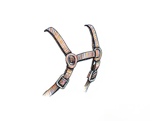 Delicate Harnesses in Women's Fashion: Styling Tips, Versatility, and Popular Materials