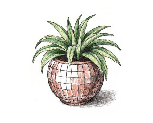 Disco Ball Planters for Women's Decor: Style, Placement, and Creative Ideas