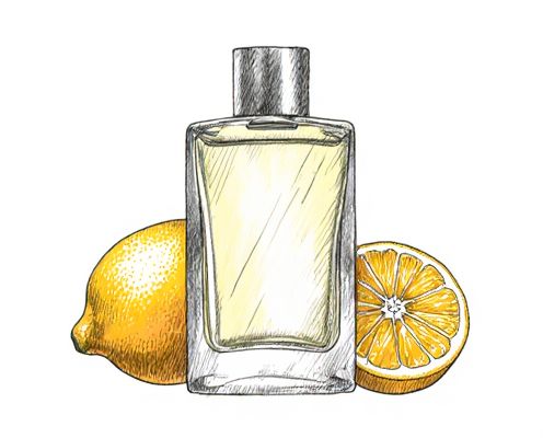 Effervescent Citrus in Women's Fragrance: Freshness, Appeal, and Scent Longevity