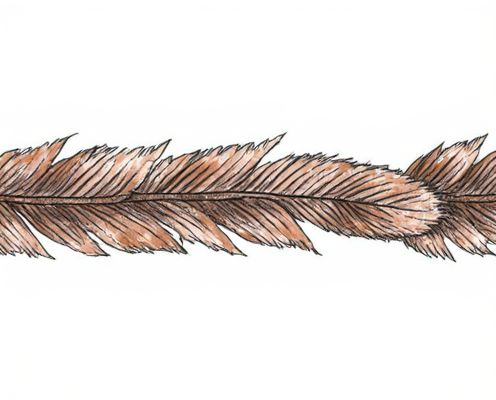 Feather Trim in Fashion: Styling Tips, Maintenance, and Iconic Looks