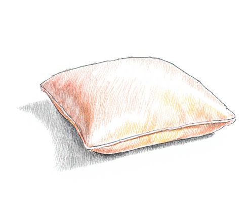 Frilled Cushions in Homeware: Style, Comfort, and Decor Integration