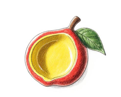 Fruit-Shaped Dishes in Homeware: Aesthetic Appeal, Material Choices, and Styling Tips