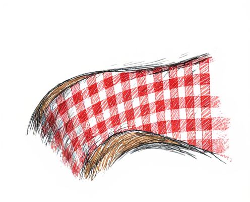 Gingham Detail in Women's Products: Trends, Styling, and Decorative Appeal