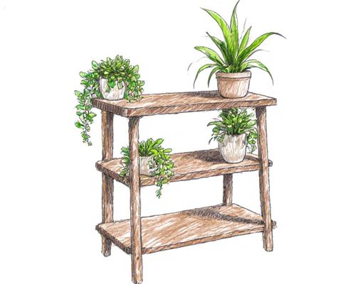 Greenery Shelf in Women's Furniture: Stylish Storage, Decor, and Organization