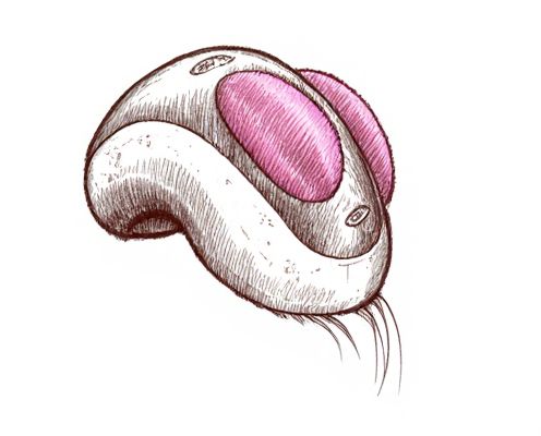 Hair Scalp Massager Gadgets: Benefits, Usage, and Selection Tips