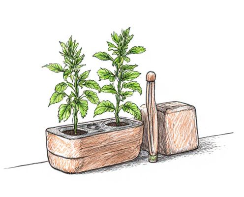 Herb Hydroponic Kits in Homeware: Enhancing Culinary Spaces and Wellness