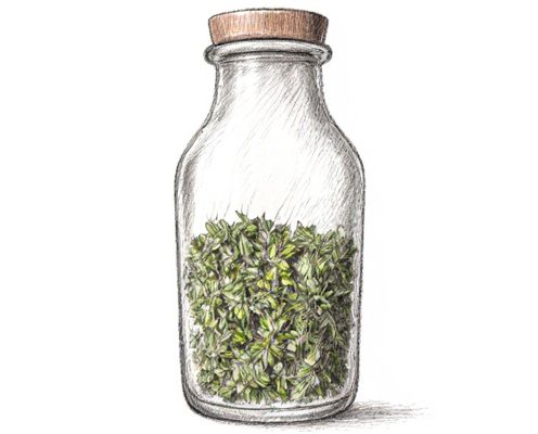 Herb Infuser Bottles in Kitchenware: Benefits, Usage, and Selection Tips for Women