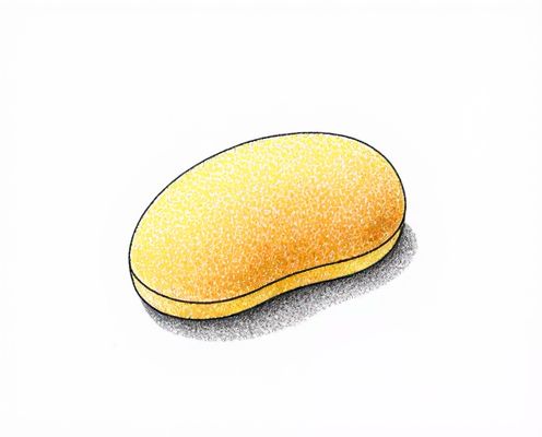 Konjac Sponge in Bath Routines: Benefits, Usage, and Care