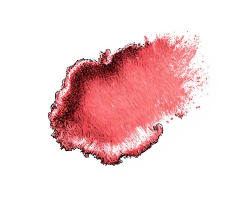 Lip Oil Stain in Cosmetics: Benefits, Application Tips, and Ingredient Insights
