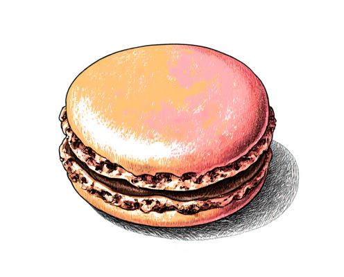 Macaron Color Palette in Women's Products: Design Inspiration, Trends, and Styling