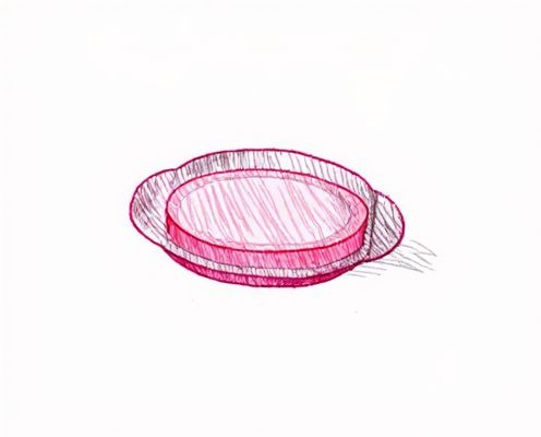 Menstrual Disc in Personal Care: Benefits, Usage, and Choosing the Right Option