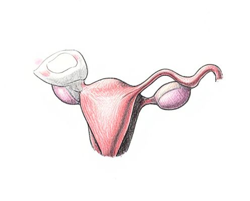 Menstrual Pain Relief Devices: Innovative Gadgets for Comfort and Wellness