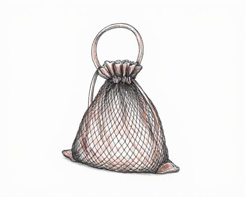 Mesh Bag in Bag: Versatile Organization for Women's Handbags and Travel Essentials