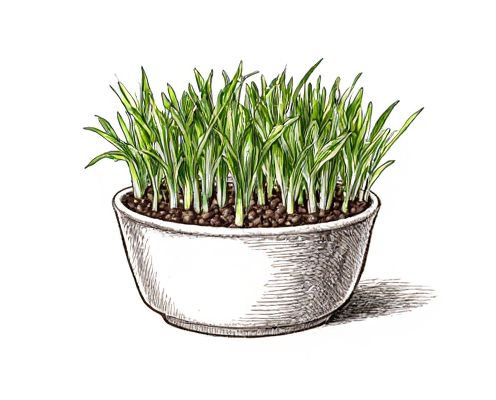 Microgreen Sprouter for Kitchenware: Health Benefits, Usage, and Product Selection