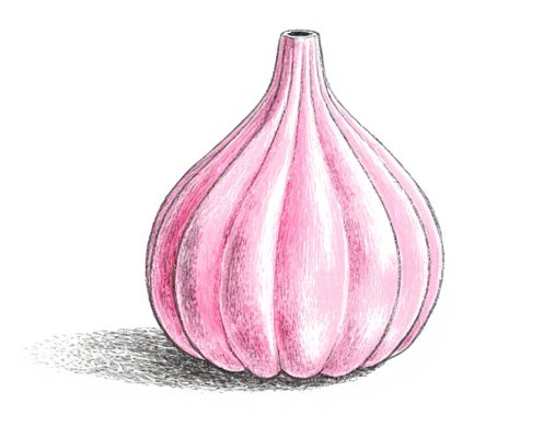 Millennial Pink in Decoration: Trends, Styling Ideas, and Impact on Women's Products