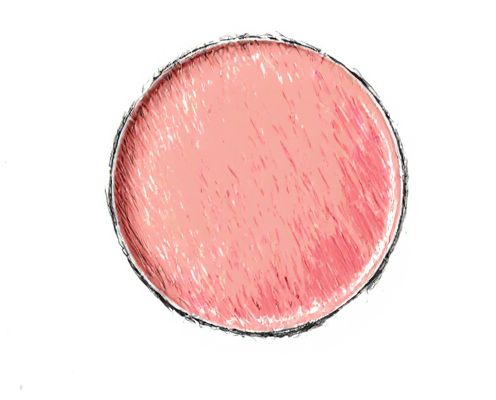 Mono Blush in Beauty: Versatility, Application Techniques, and Shade Selection