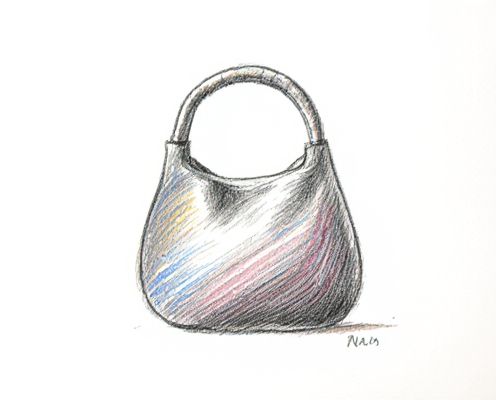 Nano Bag in Bag: Space-Saving Organization for Women's Everyday Essentials