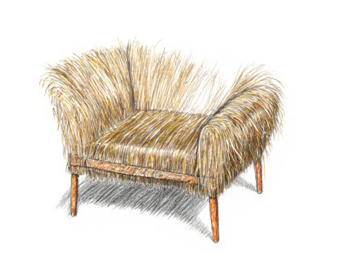 Pampas Grass Decor in Furniture: Styling Tips, Combinations, and Care