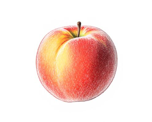 Peach Fuzz Remover in Cosmetic Skincare: Benefits, Usage, and Safety Considerations