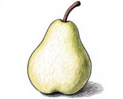 Pear Accord in Fragrance: Aromatic Appeal, Blending Techniques, and Signature Scents for Women