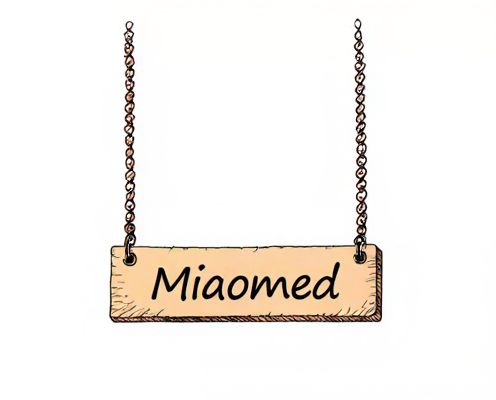 Personalised Nameplate Necklaces in Women's Accessories: Style Significance and Customization Trends
