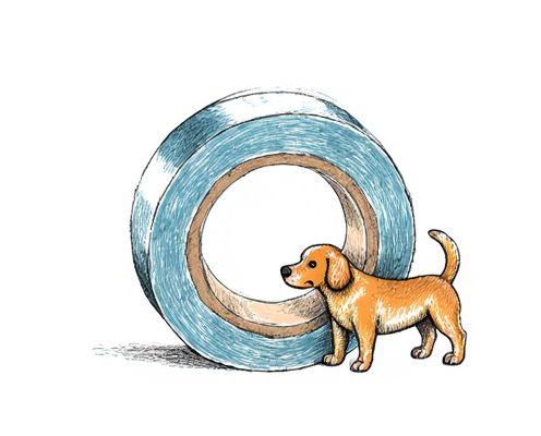 PET Tape in Stationery: Uses, Benefits, and Selection Tips for Women's Products