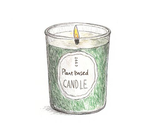 Plant-Based Candles for Women: Benefits, Scents, and Gifting Ideas