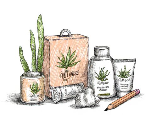 Plant-Based Spa Kits in Gifts: Benefits, Selection Tips, and Presentation Ideas