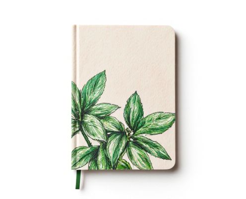 Plant-Inspired Notebooks in Stationery: Design Trends, Sustainable Materials, and Best Uses